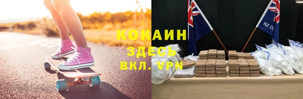 spice Горняк