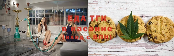 spice Горняк