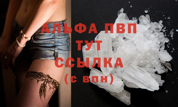 spice Горняк
