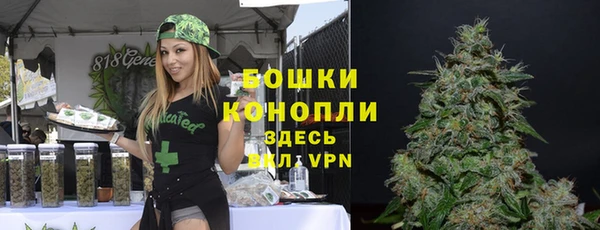 spice Горняк